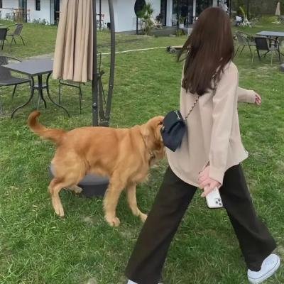 宛若淑女